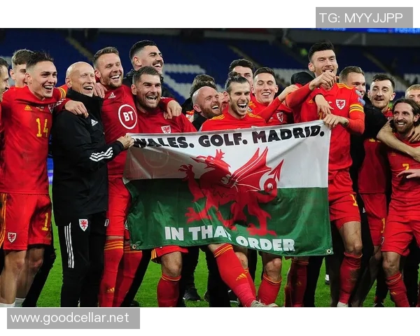 贝尔与足球明星之间的友谊与合作关系探讨