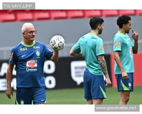 巴西与德国激战全场精彩回放重温经典足球对决瞬间